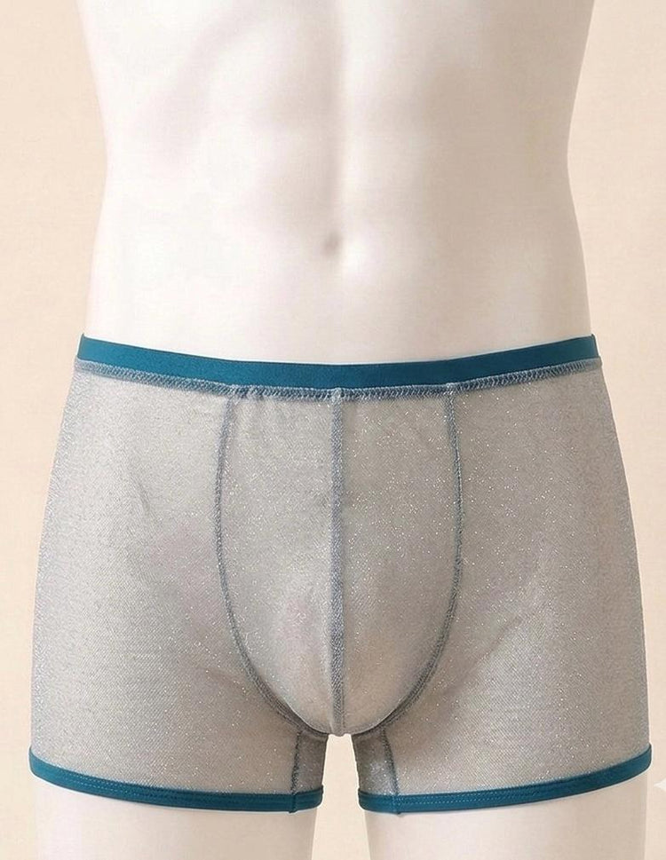 Silver Glitter Men’s Boxer Brief | Luxury Sheer Mesh Underwear | Handmade Designer Lingerie | Transparent Lurex Boxer