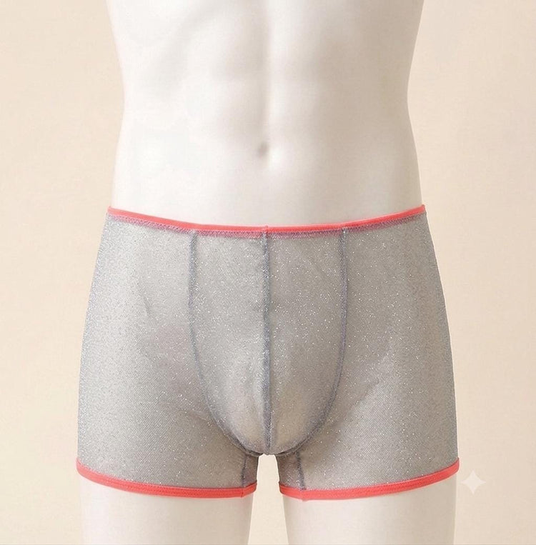 Sheer Glitter Men’s Boxer Brief | Luxury Lurex Mesh Underwear | Handmade Designer Boxer | Transparent Festival Lingerie